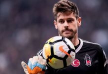 Fulham sign Besiktas goalkeeper Fabri Fulham sign Besiktas goalkeeper Fabri